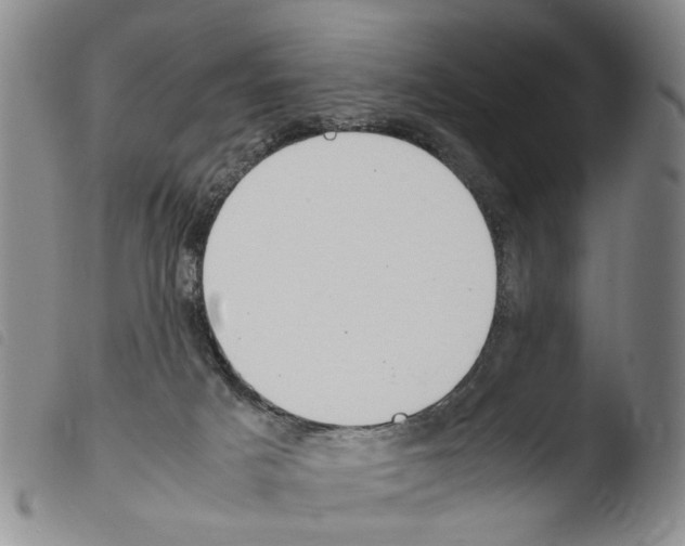 X0000103500025200810241135