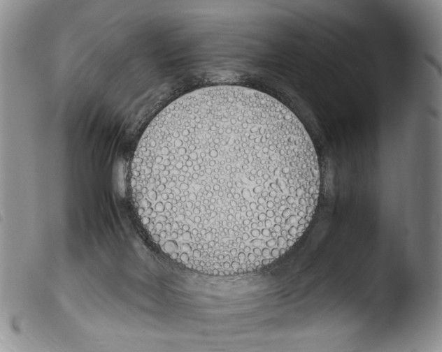 X0000103500026200810241135