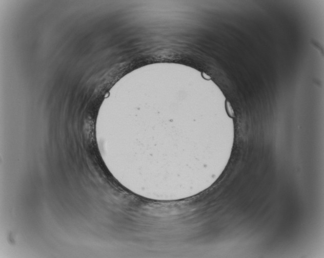 X0000103500029200810241135