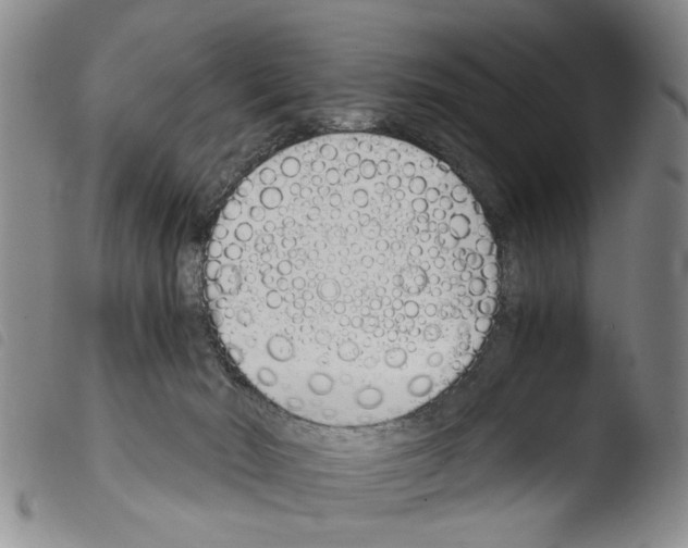 X0000103500030200810241135