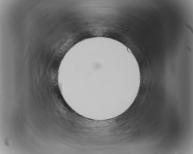 X0000103500031200810241135