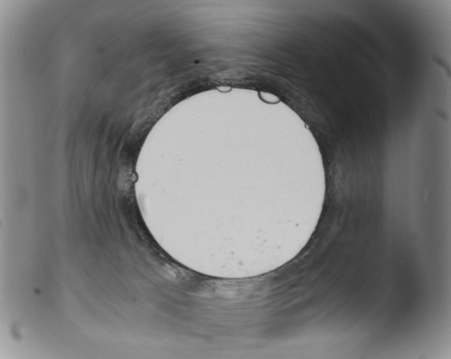 X0000103500033200810241135