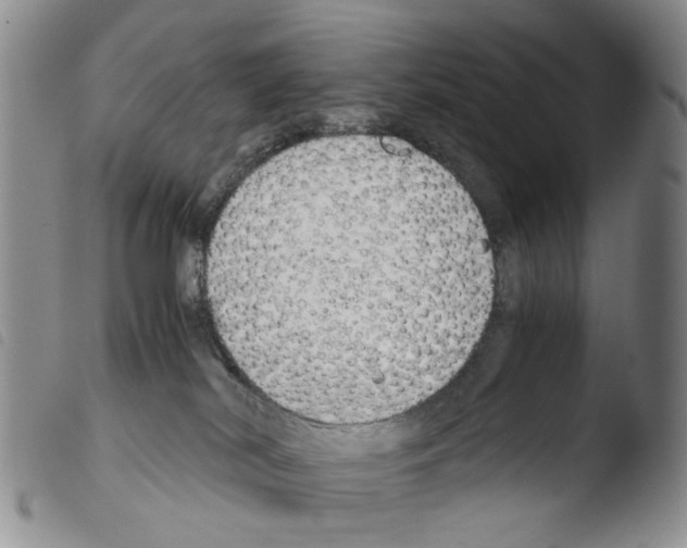 X0000103500038200810241134