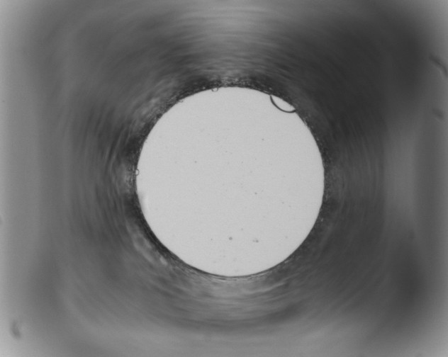 X0000103500039200810241134