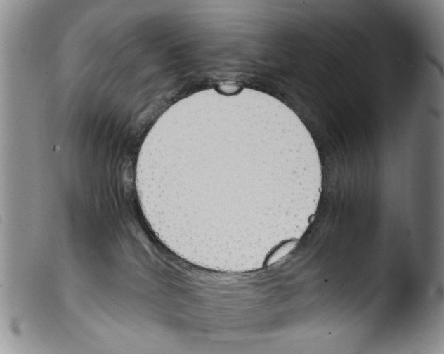 X0000103500040200810241134