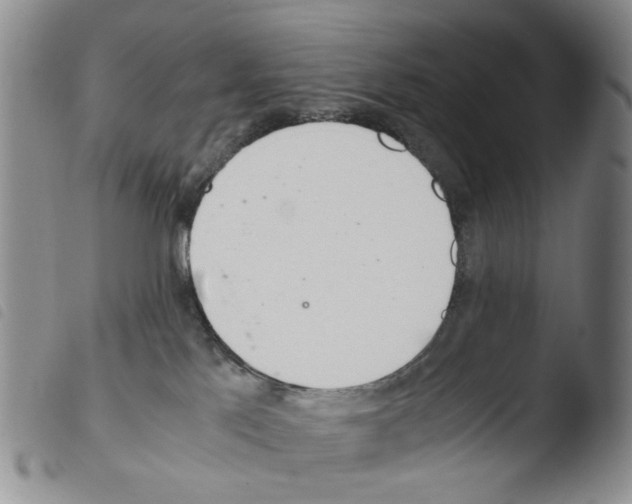 X0000103500041200810241134