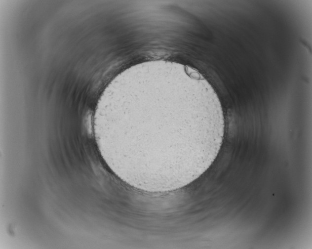 X0000103500042200810241134