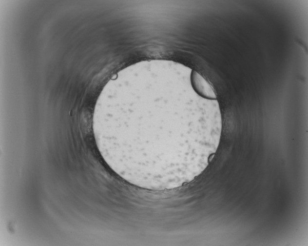 X0000103500043200810241134