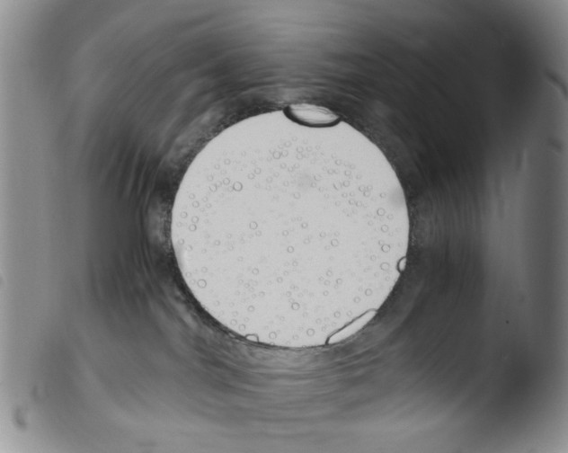 X0000103500044200810241134