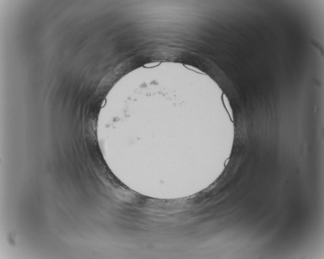 X0000103500045200810241134