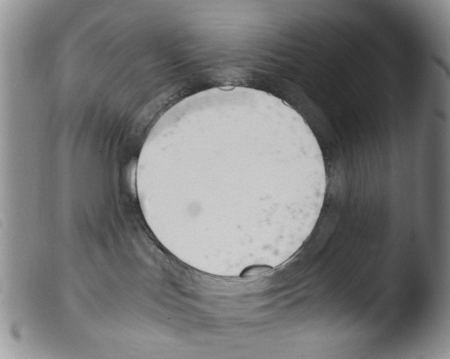 X0000103500047200810241134