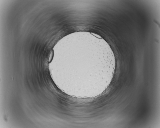 X0000103500048200810241134