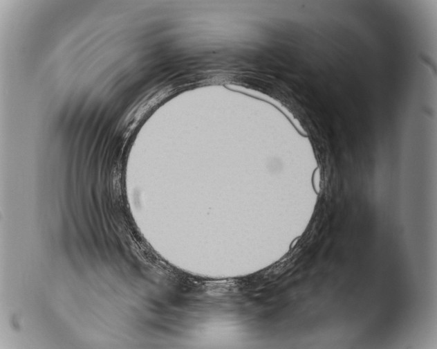 X0000103500050200810241134