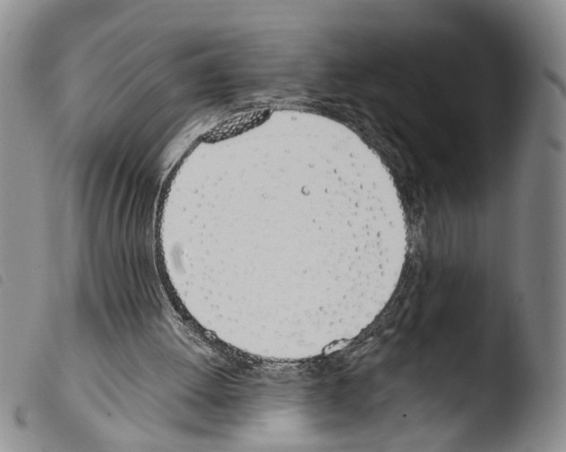 X0000103500052200810241134