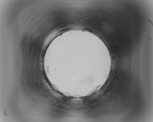 X0000103500053200810241134