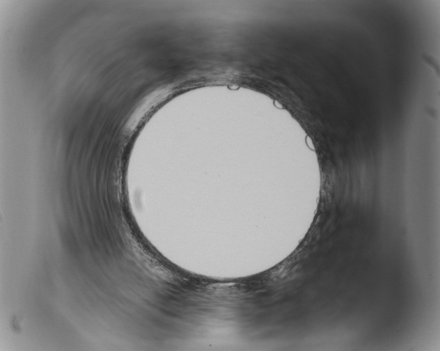 X0000103500054200810241134