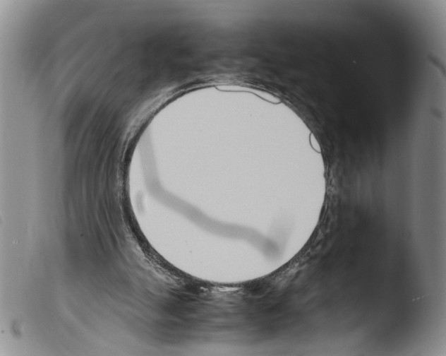 X0000103500055200810241134