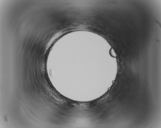 X0000103500056200810241134