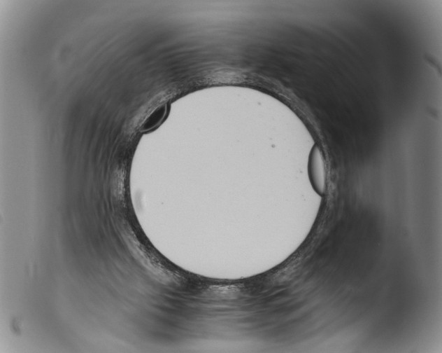 X0000103500057200810241134