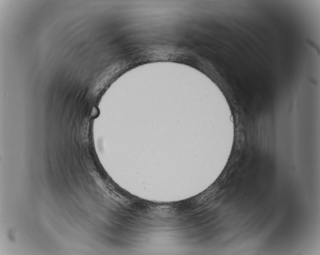 X0000103500058200810241134