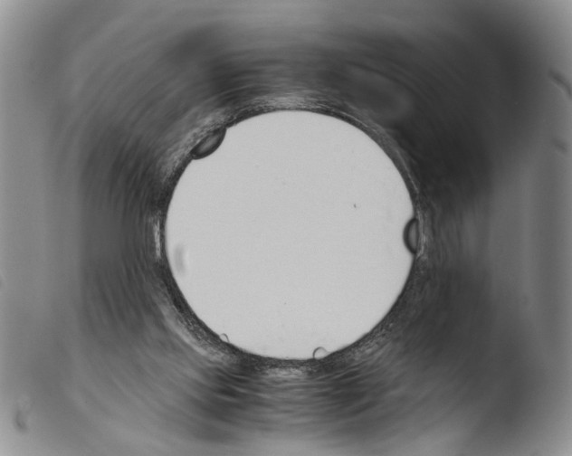 X0000103500061200810241134