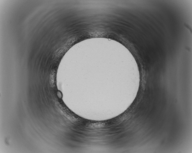 X0000103500065200810241134