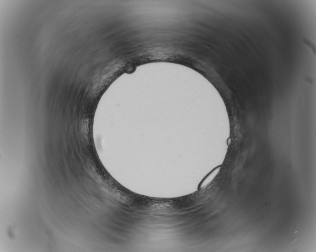 X0000103500066200810241134