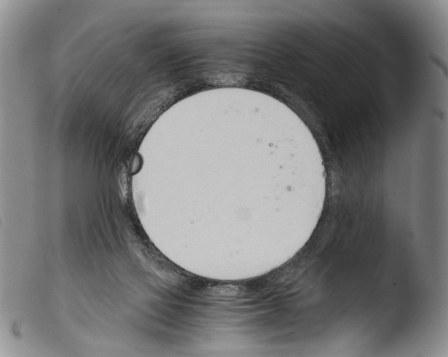 X0000103500069200810241134