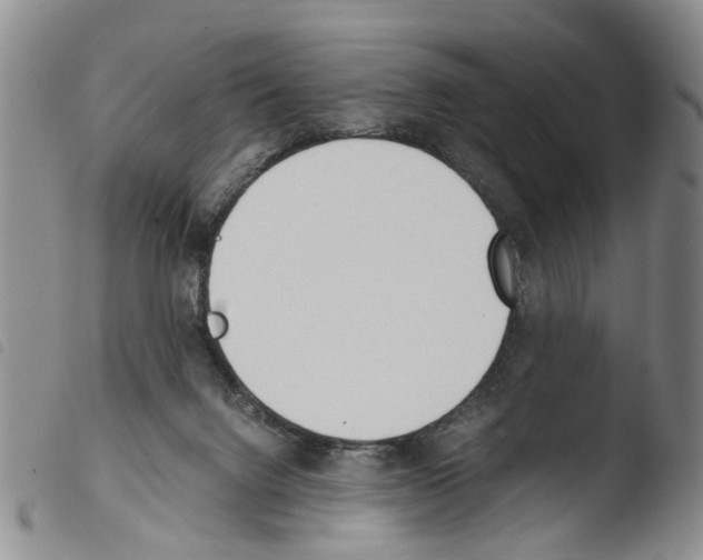 X0000103500072200810241134