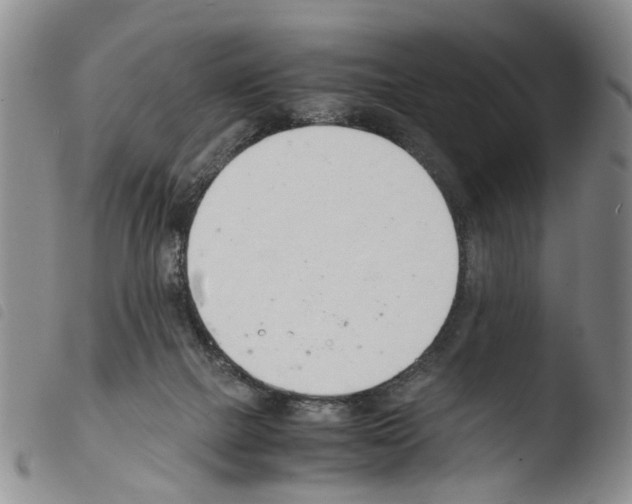 X0000103500073200810241134