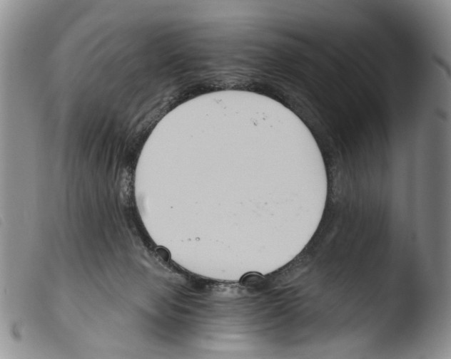 X0000103500077200810241134