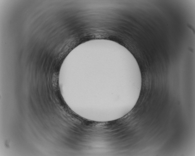 X0000103500078200810241134