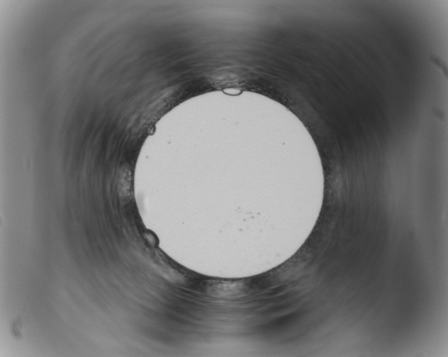 X0000103500081200810241134