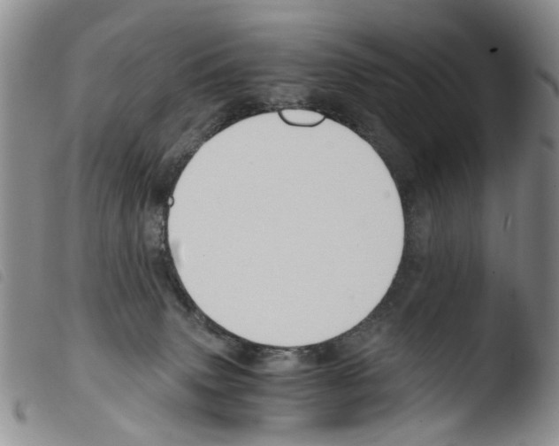 X0000103500083200810241134