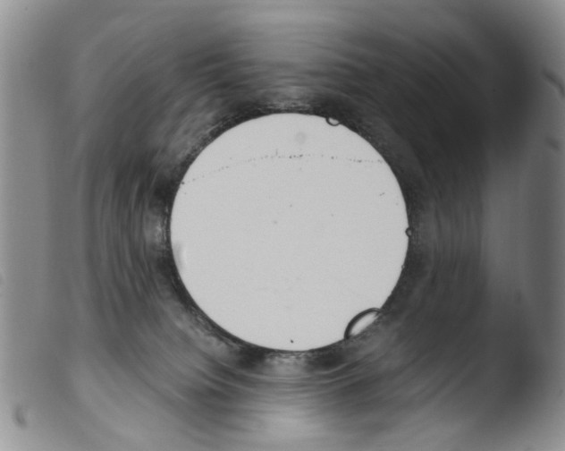 X0000103500084200810241134