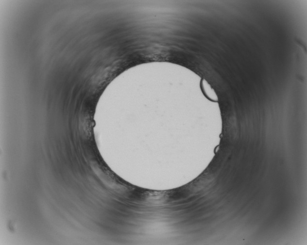 X0000103500088200810241134