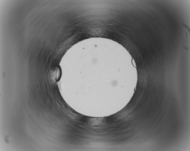 X0000103500089200810241134