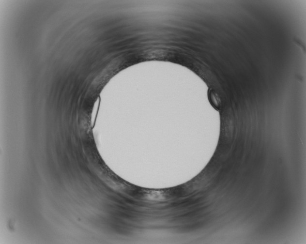 X0000103500091200810241134