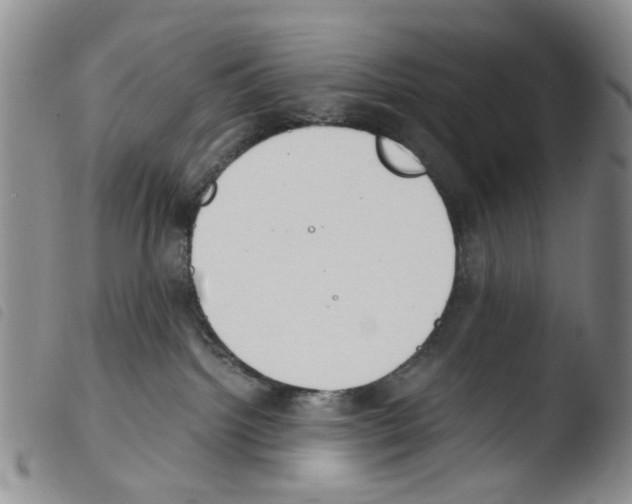 X0000103500092200810241134