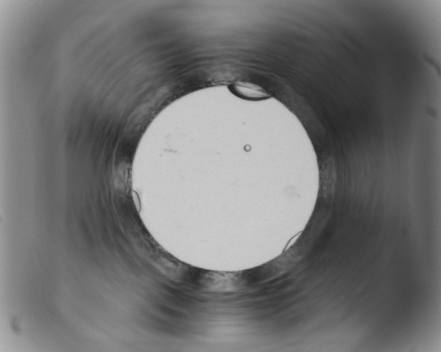 X0000103500093200810241134