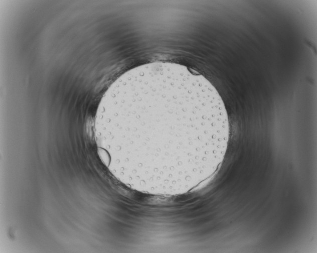 X0000103500094200810241134