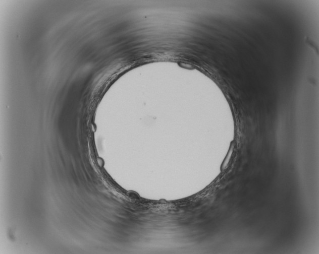 X0000103500097200810241134