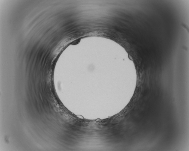 X0000103500098200810241134