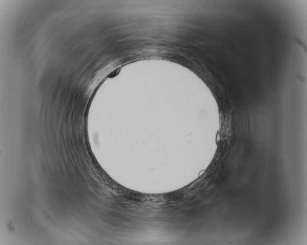 X0000103500099200810241134