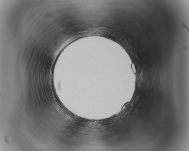 X0000103500100200810241134