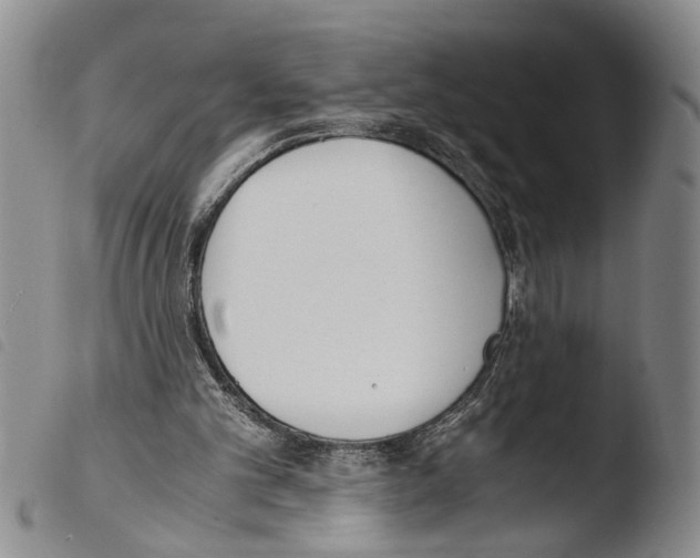 X0000103500101200810241134