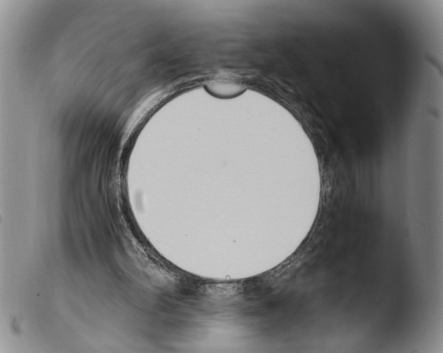 X0000103500102200810241134