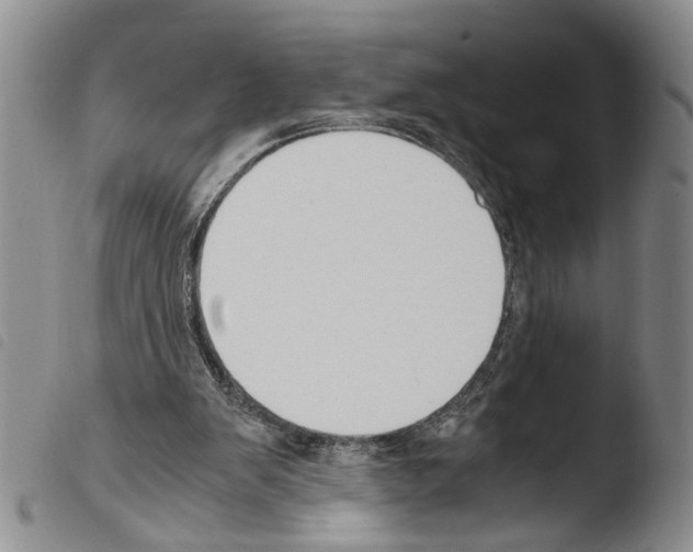 X0000103500103200810241134