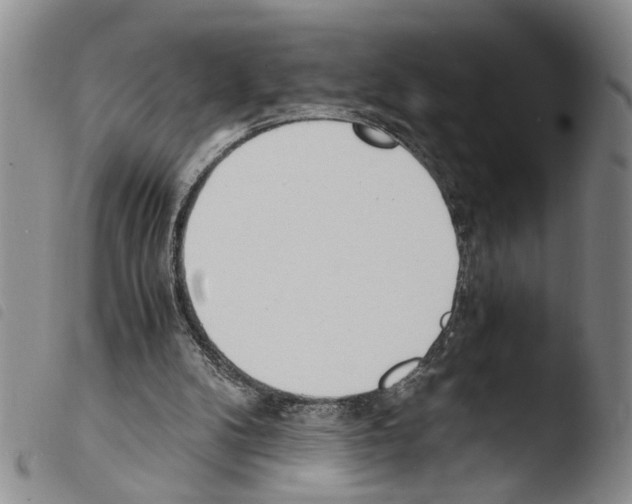 X0000103500104200810241134