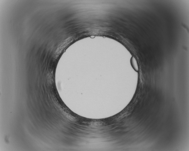 X0000103500105200810241134